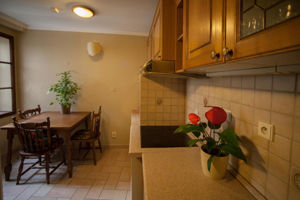 Apartment Nerudova By Interhome Prag Rum bild